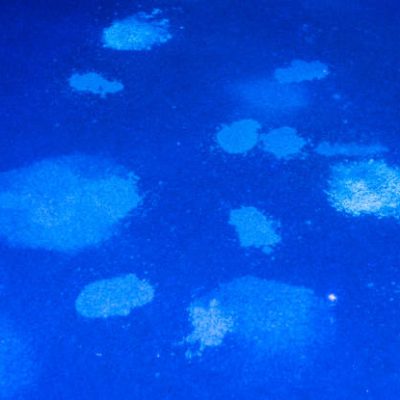 راهکارهای برتر برای حذف لکههای ادرار از روی فرش راهکارهای برتر برای حذف لکههای ادرار از روی فرش