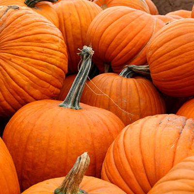 اثرات مصرف کدو حلوایی (کدو تنبل) در دوران بارداری: خواص و عوارض