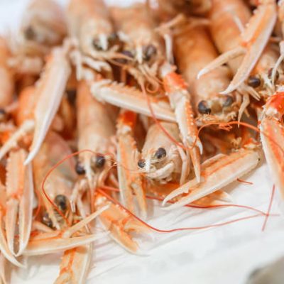 راهکار ساده‌ای برای جلوگیری از سفت شدن میگو