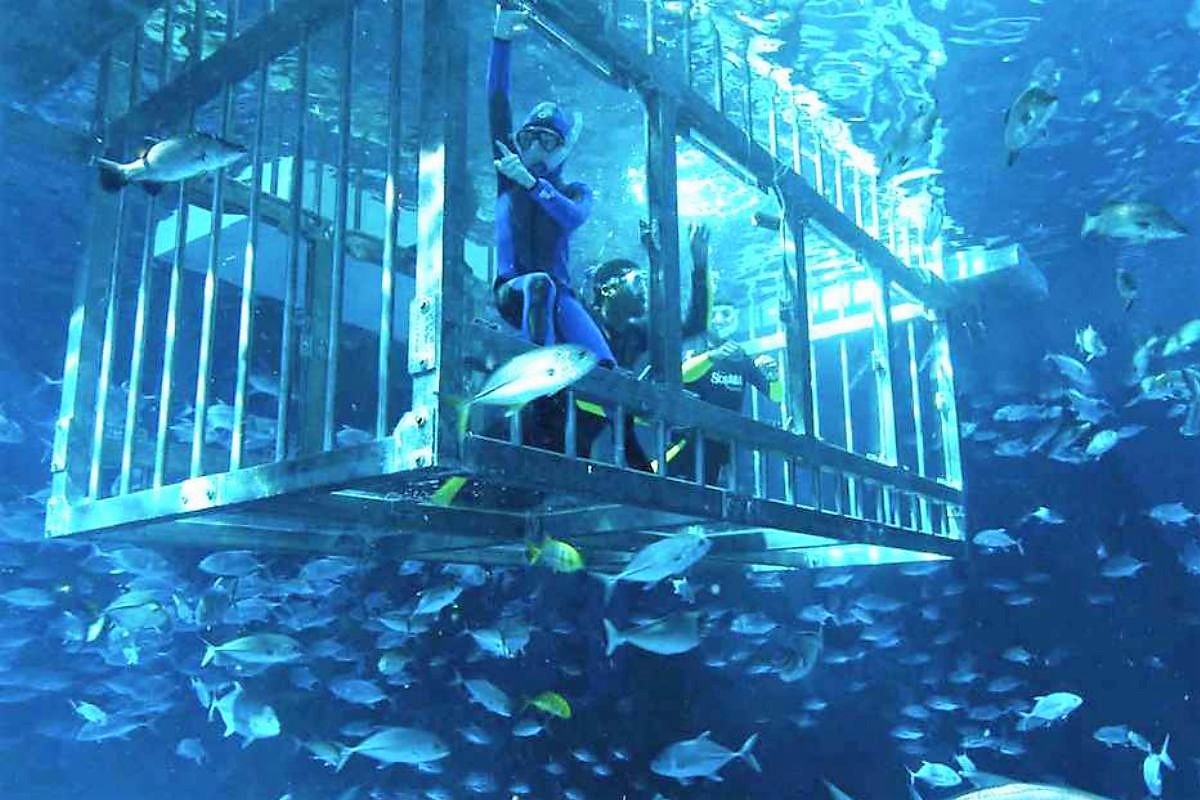 آکواریوم دبی مال