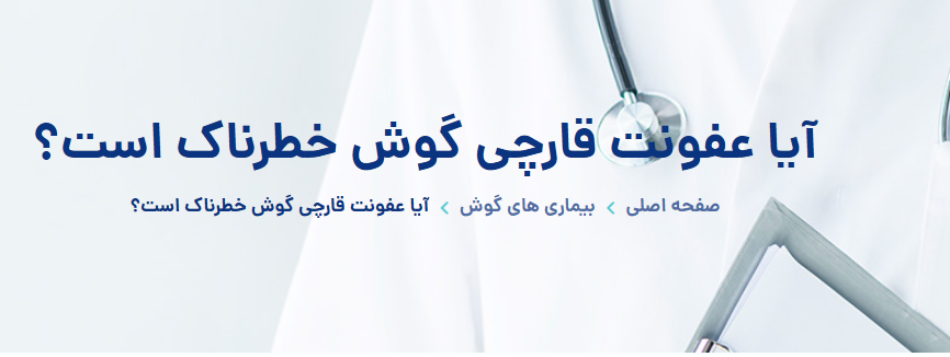 هرآنچه که باید درباره قارچ گوش بدانید به نقل از دکتر معماری