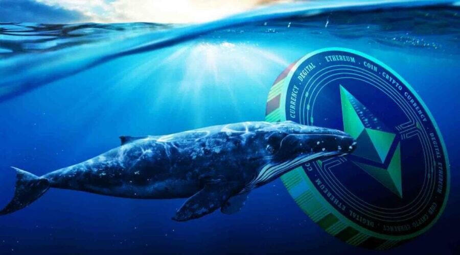 سقوط وحشتناک در انتظار اتریوم / قیمت اتریوم چقدر خواهد شد؟ سقوط وحشتناک در انتظار اتریوم / قیمت اتریوم چقدر خواهد شد؟