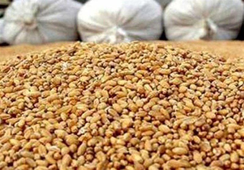 آغاز توزیع نهاده مرغداران گوشتی با قیمت مصوب/ مهلت ثبت نام تا 18 آذر آغاز توزیع نهاده مرغداران گوشتی با قیمت مصوب/ مهلت ثبت نام تا 18 آذر