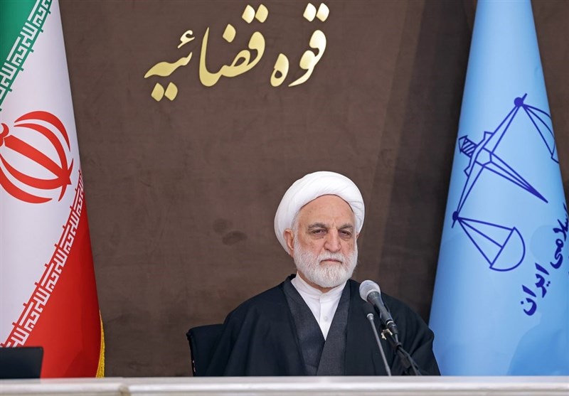 اژه‌ای: ادعای پرداخت جریمه 11هزار میلیاردی از سوی قاچاقچی صحت نداشت