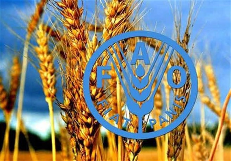 برنامه پزشکان خاک ایران مورد تحسین فائو قرار گرفت