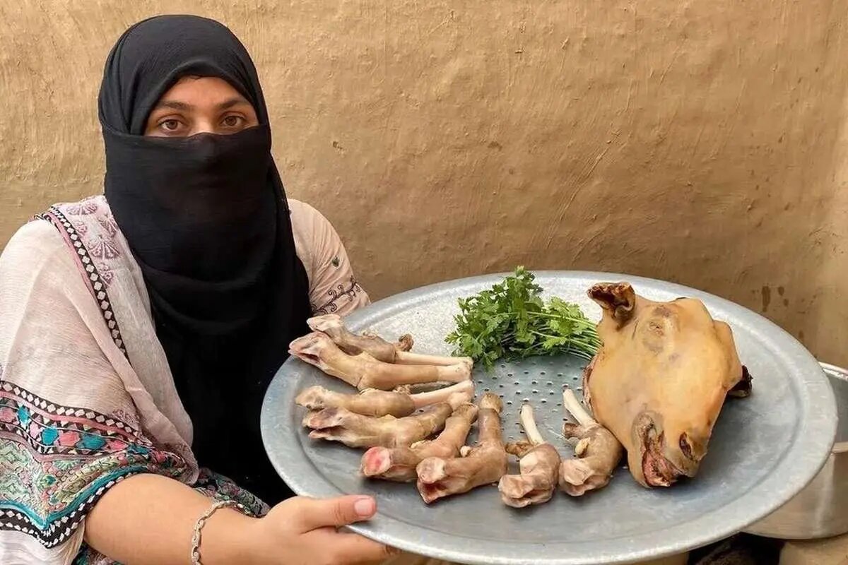 در این نقطه از جغرافیا کلهپاچه گوزن و شتر میخورند در این نقطه از جغرافیا کلهپاچه گوزن و شتر میخورند