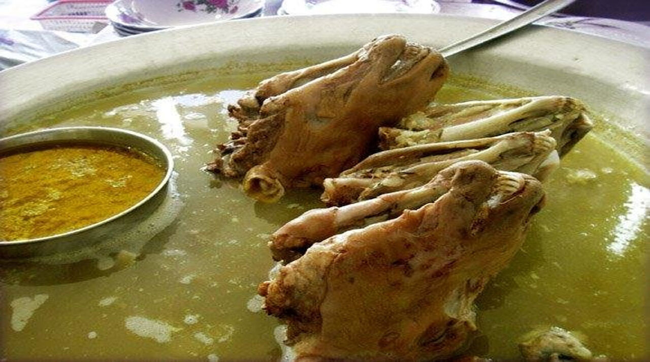 در این نقطه از جغرافیا کلهپاچه گوزن و شتر میخورند در این نقطه از جغرافیا کلهپاچه گوزن و شتر میخورند