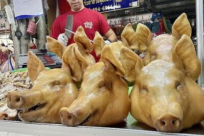 در این نقطه از جغرافیا کلهپاچه گوزن و شتر میخورند در این نقطه از جغرافیا کلهپاچه گوزن و شتر میخورند