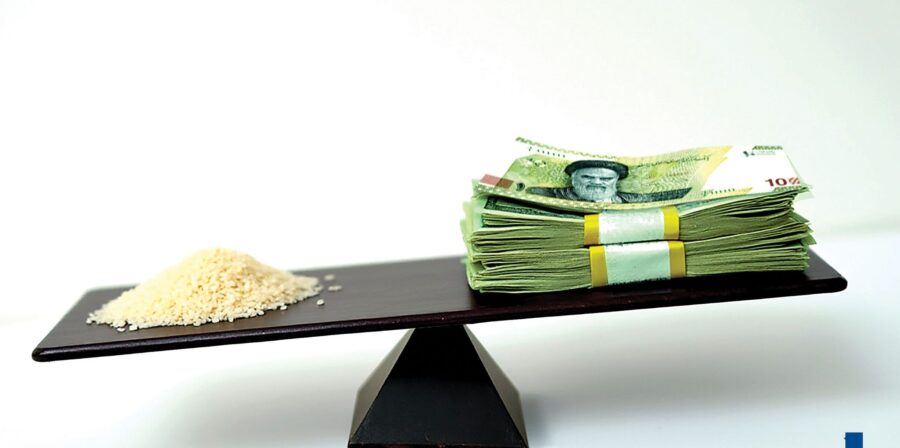 راه‌حل کنترل قیمت برنج صرفاً تخصیص یا حذف ارز ترجیحی نیست