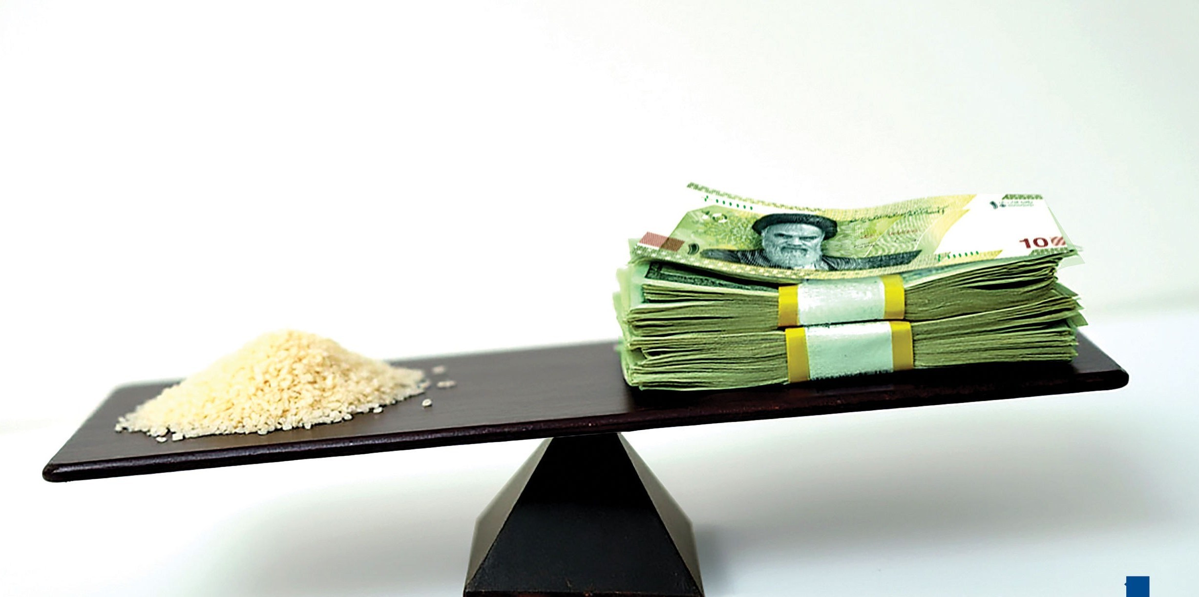 راه‌حل کنترل قیمت برنج صرفاً تخصیص یا حذف ارز ترجیحی نیست