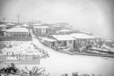 زیبایی حیرت انگیز اولین برف پاییزی در ارتفاعات سوادکوه+ عکس