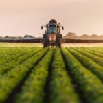 سیاست‌های جدید ارزی موجب بازنگری در آیین‌نامه کشت قراردادی شد