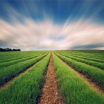 هشدار نارنجی هواشناسی به کشاورزان برای امروز و فردا