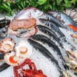 صادرات محصولات شیلاتی ایران به 61 کشور جهان