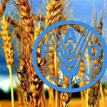 فائو: استفاده از فناوری هسته‌ای برای غلبه بر ناامنی غذایی ضروری است
