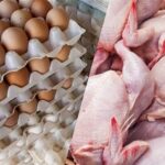 مصرف مرغ 20 درصد کم شد