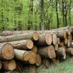 «نجات آب» ــ 67|استفاده از پساب برای گیاهان غیرخوراکی