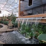 «نجات آب» ــ 68| مدیریت یکپارچه آب-خاک-گیاه-اقلیم