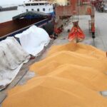 واردات 2.75 میلیون تن گندم در 10 ماهه امسال