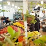 ورود میوه به کالابرگ از 15 اسفند