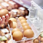 صادرات تخم مرغ خوراکی مجاز مشروط شد