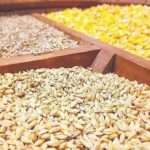 واردات 23 میلیون تن کالای اساسی در سال/پیامد خرید نهاده دامی از آمریکا