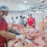 سختگیری جدید اروپا؛ فرصتی برای ارتقاء سلامت تولیدات دامی ایران
