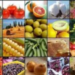 صادرات 15 محصول کشاورزی آزاد شد+ جدول