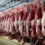 کاهش 6 درصدی تولید گوشت قرمز در تیر 1405