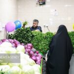 الزامات سبزی خوردن بسته‌بندی اعلام شد
