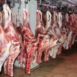 تاکنون مجوز عرضه گوشت اسب و الاغ صادر نشده
