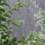 آماده‌باش دستگاه‌های امدادی در ۶ استان / هواشناسی هشدار داد