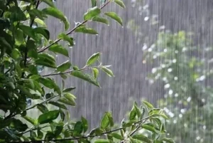آماده‌باش دستگاه‌های امدادی در ۶ استان / هواشناسی هشدار داد